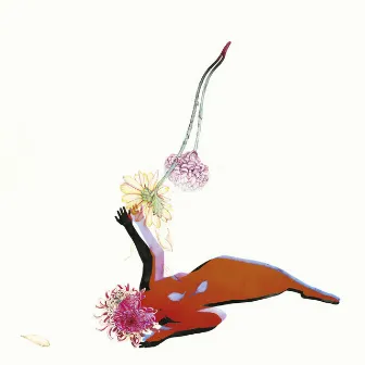 The Far Field by Future Islands