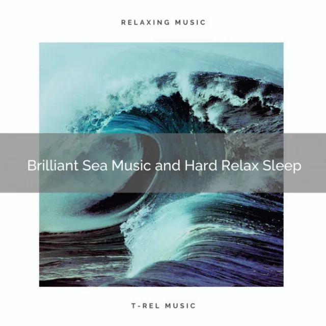 Harmony Ocean Noise and Sleep