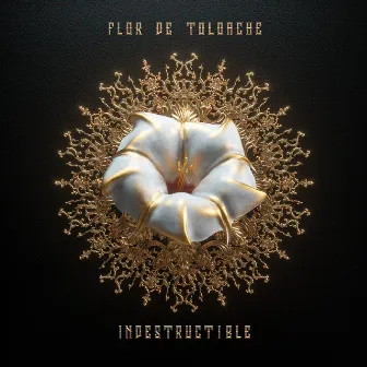 Indestructible by Flor de Toloache