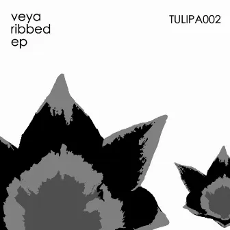 Ribbed EP by Veya