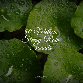 50 Mellow Sleepy Rain Sounds by Brown Noise