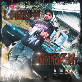 Product Of My Environment by Lazy K