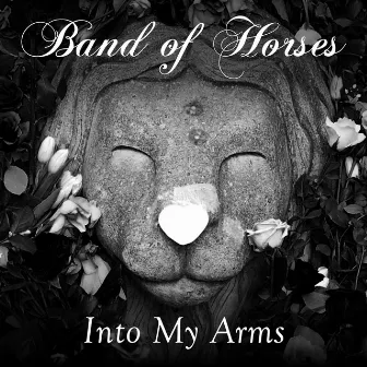 Into My Arms by Band of Horses