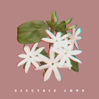 Electric Love by Dugg Mason