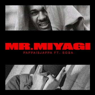 Mr. Miyagi by Pappaisjappa