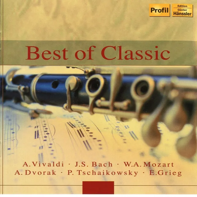 Violin Concerto in D Major, Op. 35: I. Allegro moderato