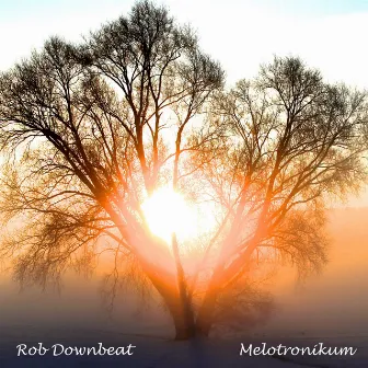 Melotronikum (Radio Edit) by Rob Downbeat