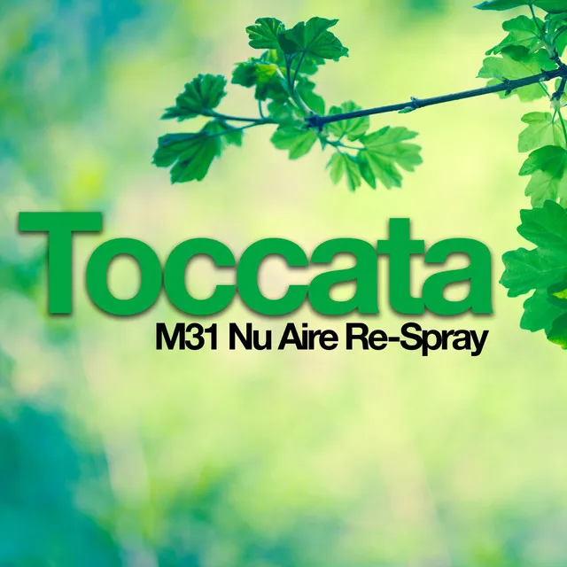 Toccata (M31 Nu Aire Re-Spray)