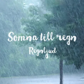 Somna till regn by Regnljud