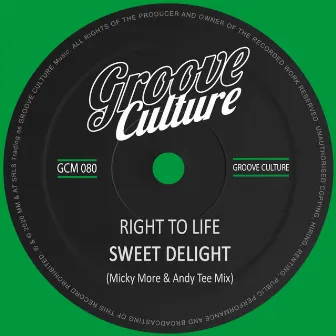 Sweet Delight (Micky More & Andy Tee Mix) by Right To Life