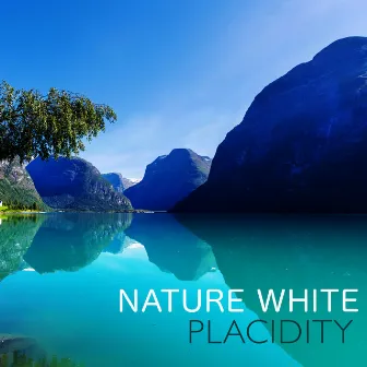 Nature White: Placidity by Unknown Artist