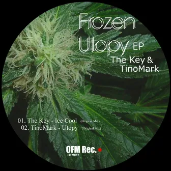 Frozen Utopy by key