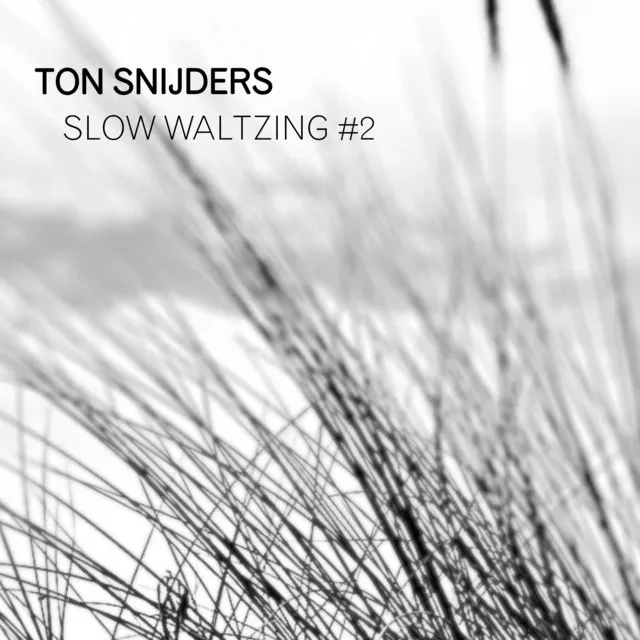 Slow Waltzing #2