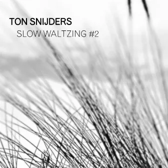 Slow Waltzing #2 by Ton Snijders