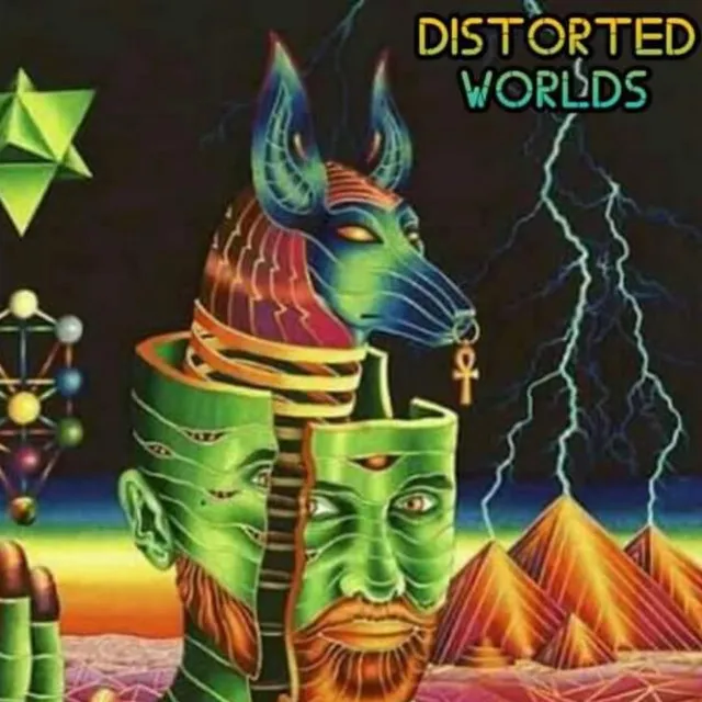 Distorted Worlds