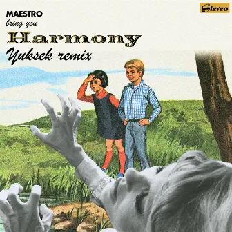 Harmony (Yuksek Remix) by Maestro