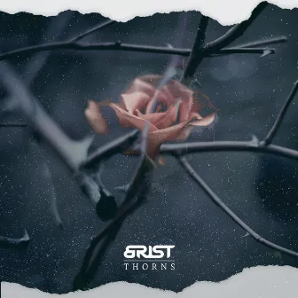 Thorns by Brist