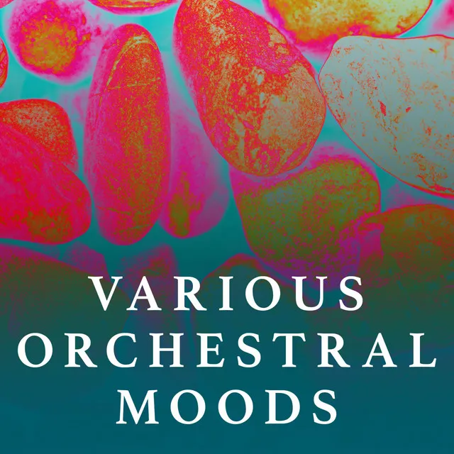 Various Orchestral Moods