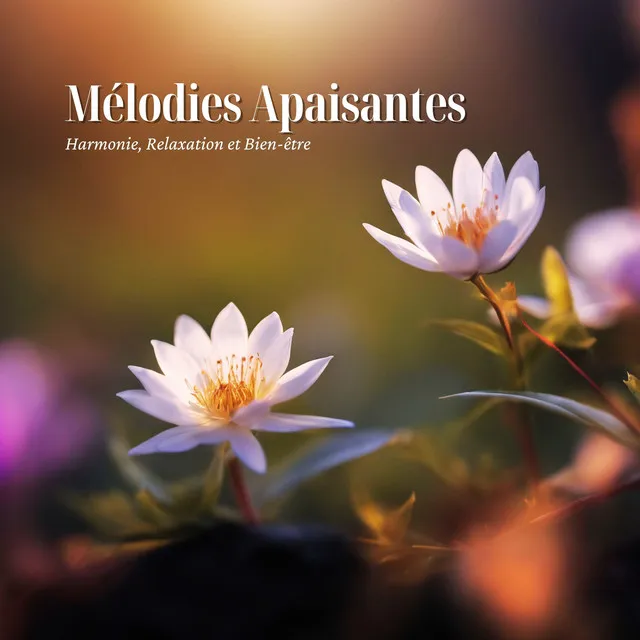 Mélodies Apaisantes: Harmonie, Relaxation et Bien-être