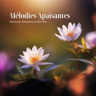 Mélodies Apaisantes: Harmonie, Relaxation et Bien-être by Le Monde du Yoga