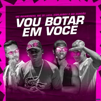 Vou Bota em Você (Brega Funk) by É O Playboy