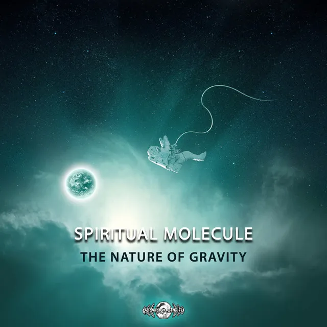 The Nature Of Gravity