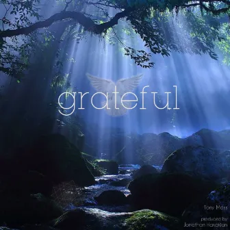 Grateful by Tony Moss