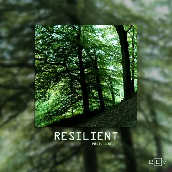 Resilient by Unknown Artist