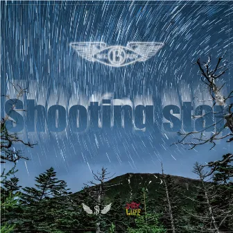 Shooting sair by $LY