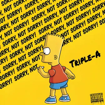 Sorry Not Sorry by Triple AAA