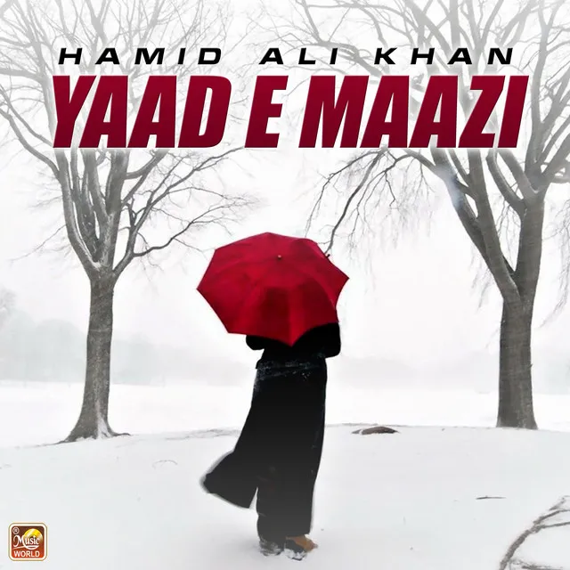 Yaad E Maazi - Single