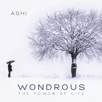 Wondrous by Ashi