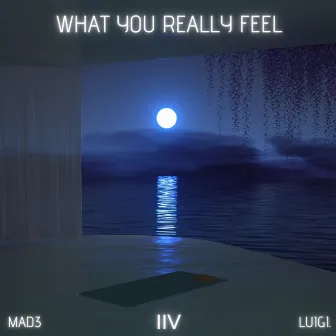 What You Really Feel by MAD3