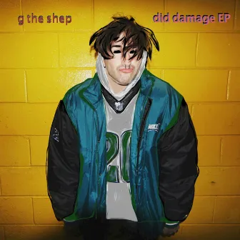 did damage by g the shep