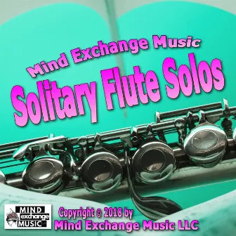 Solitary Flute Solos (Original Score) by Mind Exchange Licensing