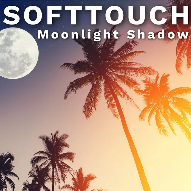 Moonlight Shadow - Radio Edit