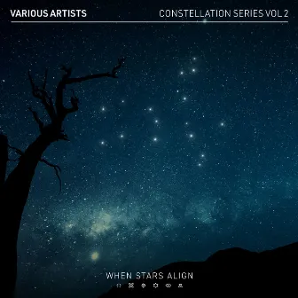 Constellation Series, Vol. 2 by James Organ