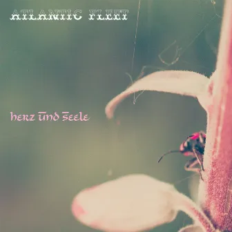 Atlantic Fleet by Herz Und Seele