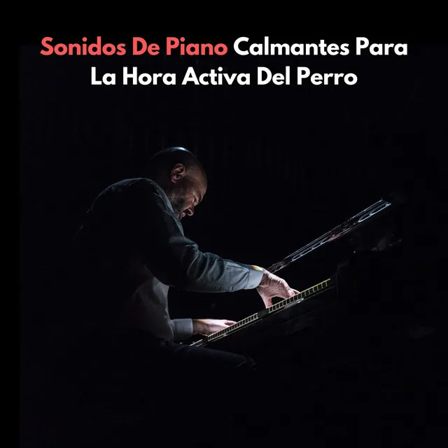 Escalofrío de jazz de piano