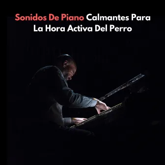 Sonidos De Piano Calmantes Para La Hora Activa Del Perro by Escalofrío de jazz de piano