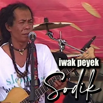 Iwak Peyek by Sodik