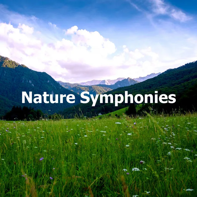 Nature Symphonies