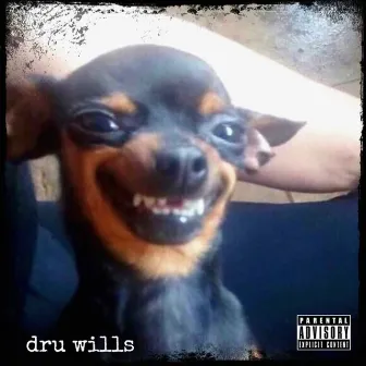 The Soundcloud Filez by Dru Wills