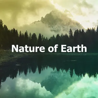 Nature of Earth by Unknown Artist