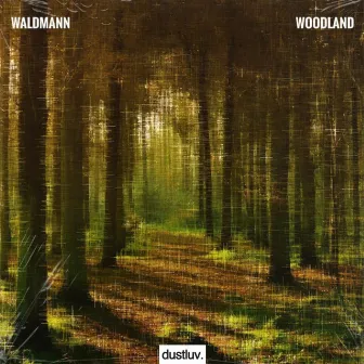 Woodland by Waldmann