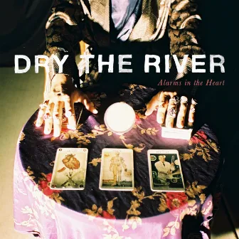 Alarms in the Heart by Dry the River