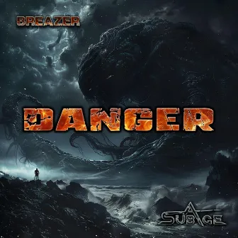 Danger by Unknown Artist