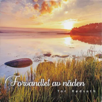 Forvandlet av nåden by Tor Rødseth