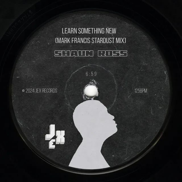 Learn Something New (Mark Francis Stardust Mix) - Remix