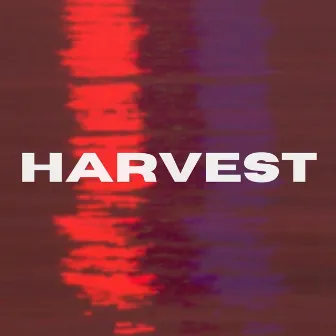 Harvest by Lucid Dreams